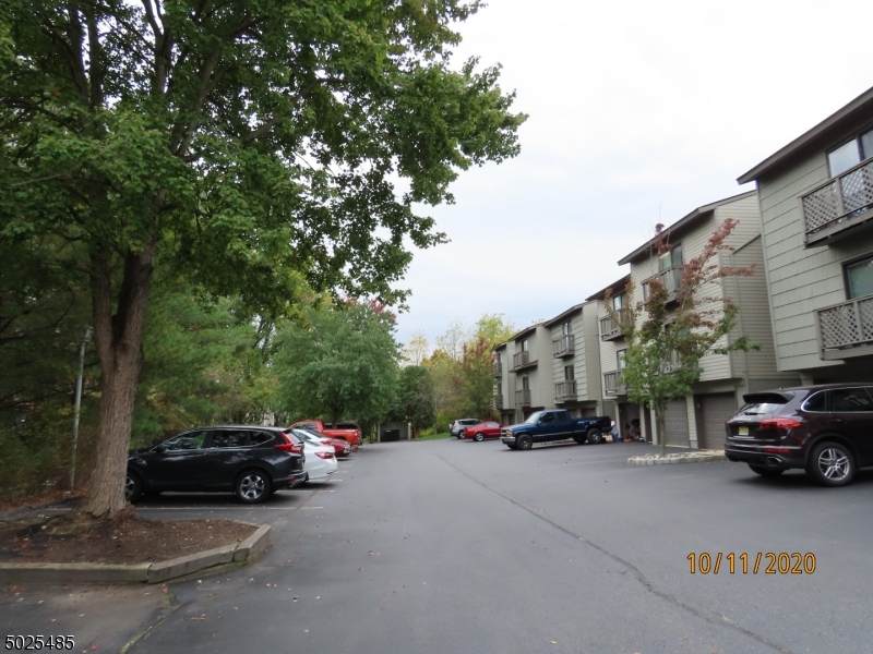 1204 Spruce Hills Dr - Photo 1