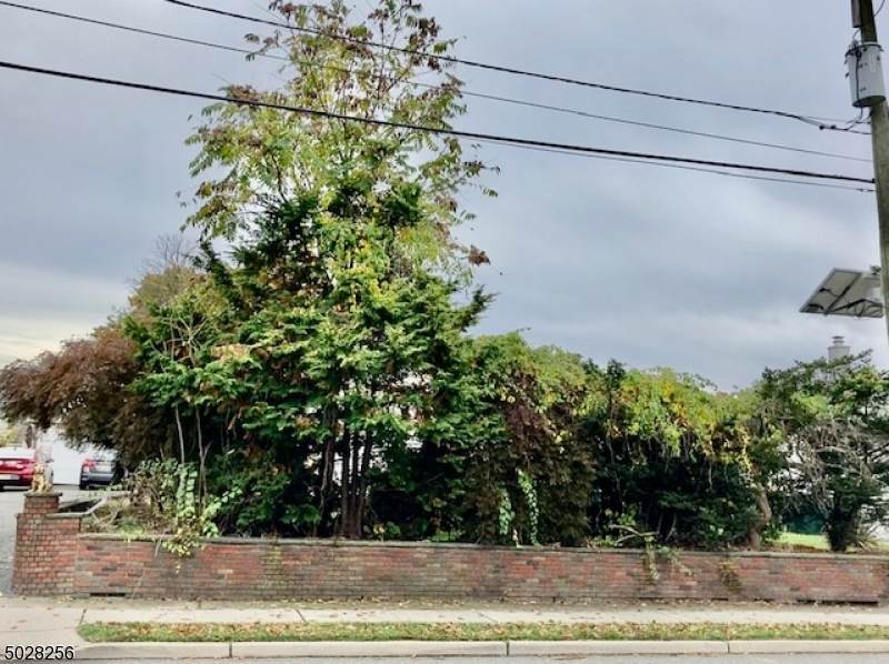 0 Van Winkle Ave - Photo 1