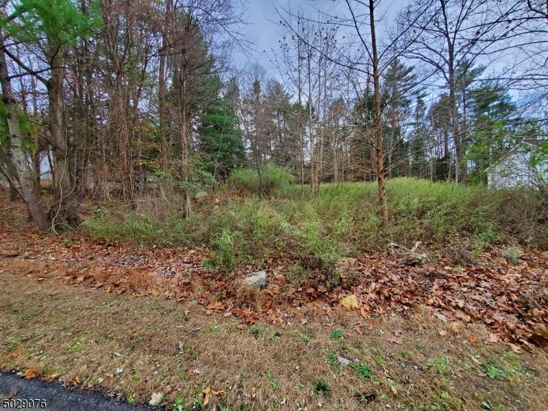 101 Armstrong Rd - Photo 1