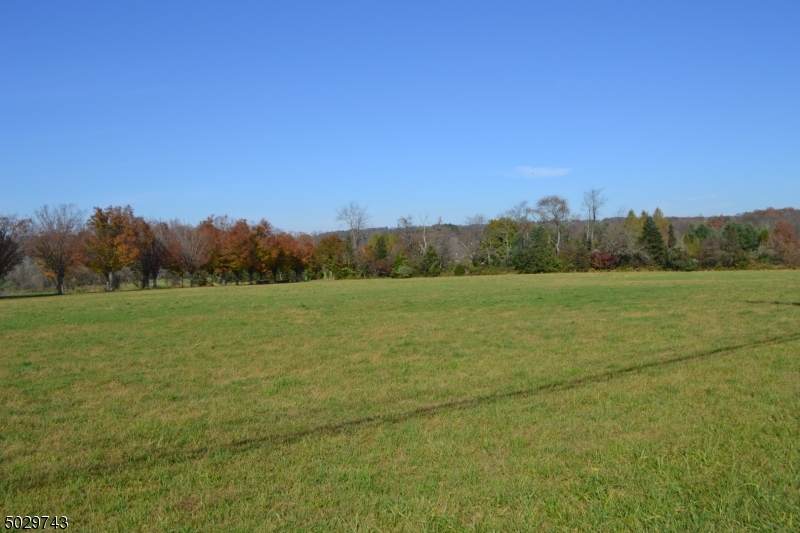 832 Sergeantsville Rd - Photo 1