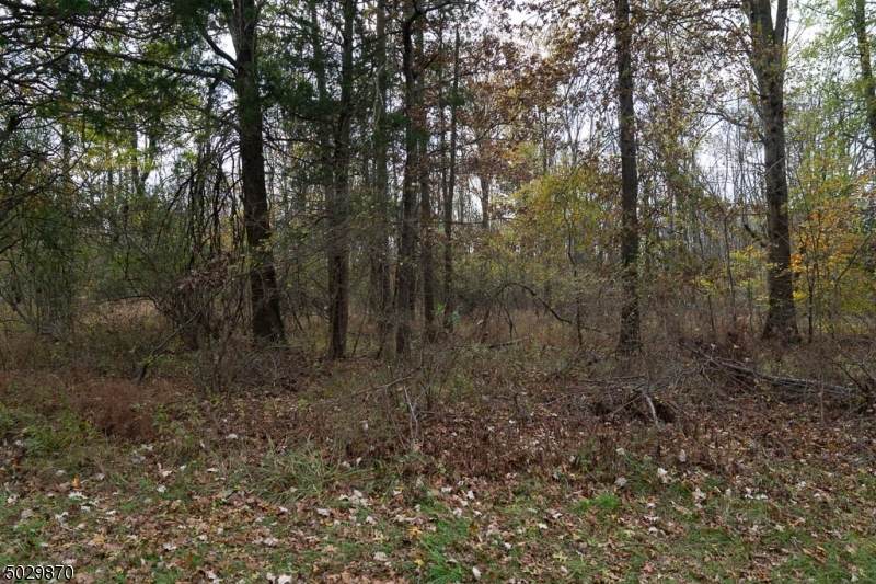 65 Oak Grove Rd - Photo 1
