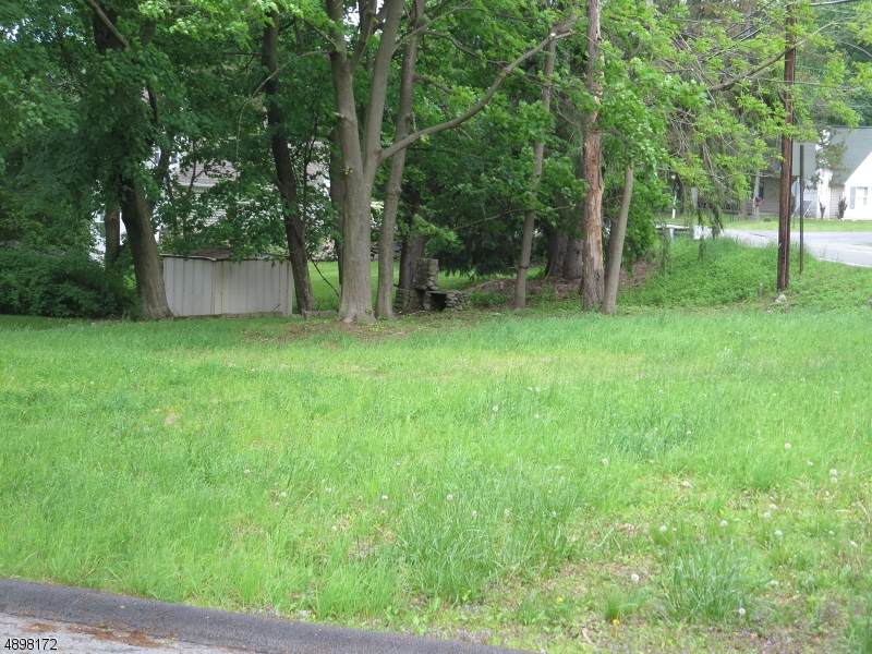 54 Maple Tree Ln - Photo 1