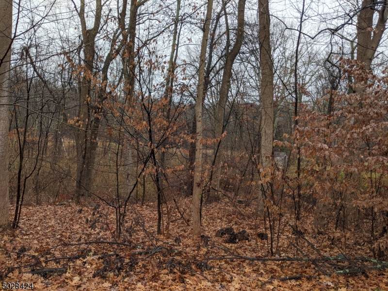 207 Kinnelon Rd - Photo 1