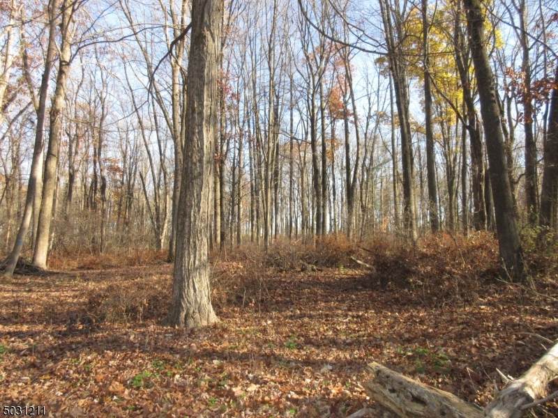 1129 Route 94 - Photo 1