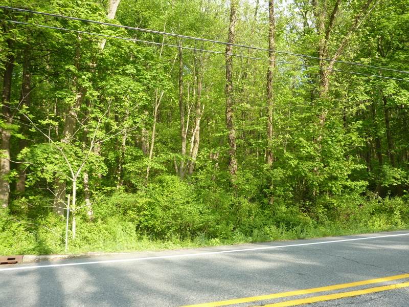 732 County Road 519 - Photo 1