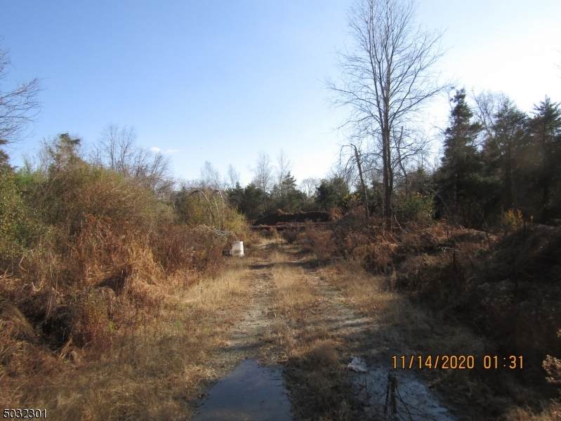 23 Bear Creek Rd - Photo 1