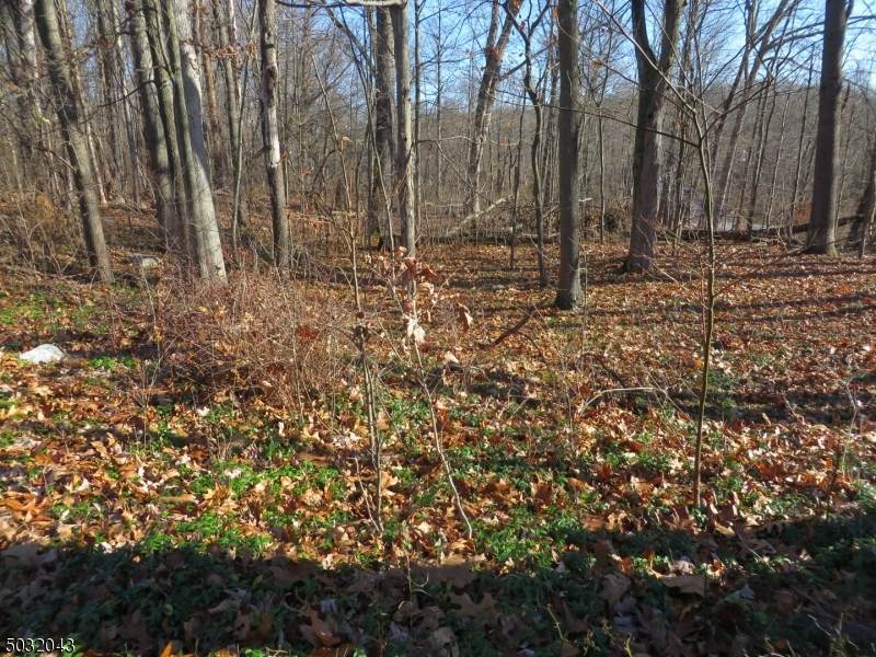 6 Dale Rd - Photo 1