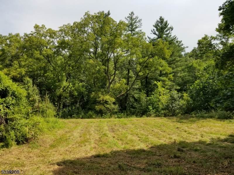 59 Millbrook Rd - Photo 1