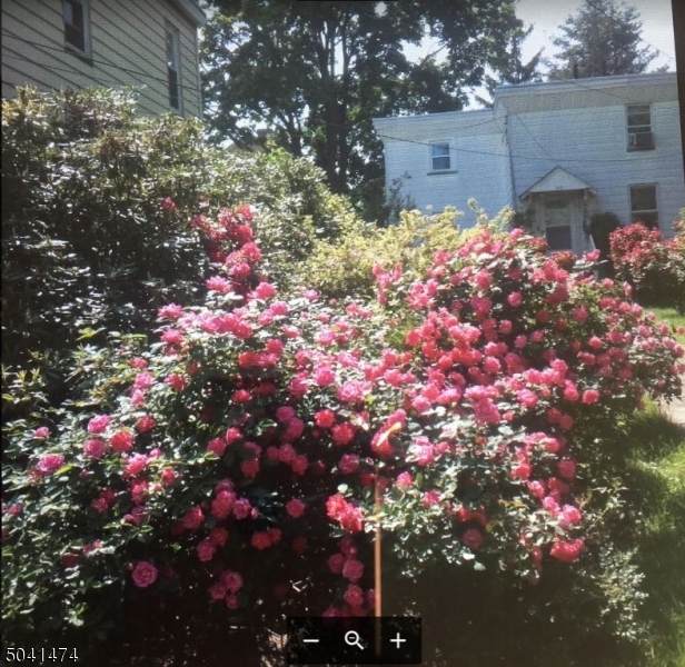 186 Spruce St - Photo 1