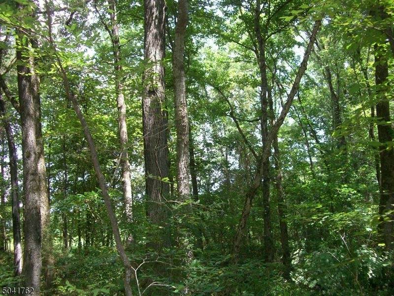 40 Shongum Rd - Photo 1