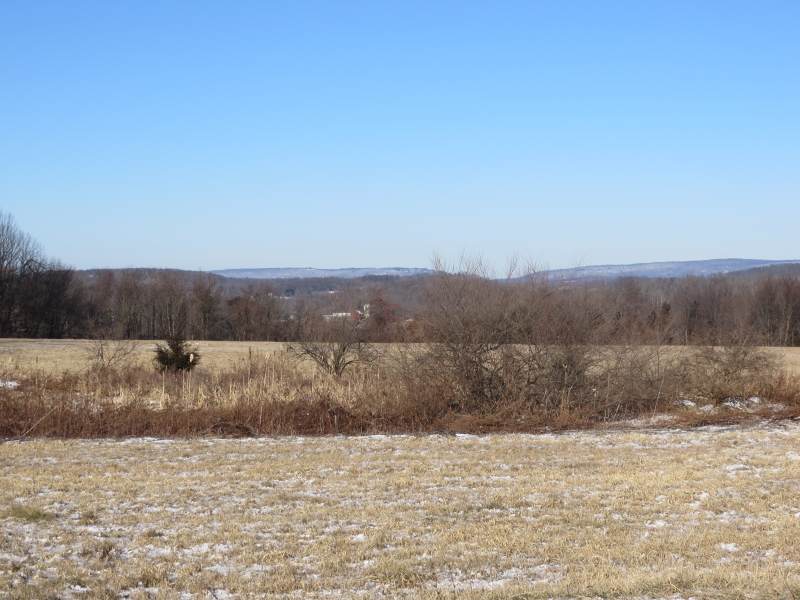 39 Old Beaver Run Rd - Photo 1