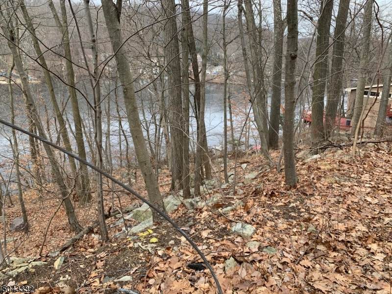 403 Skyline Lake Dr - Photo 1