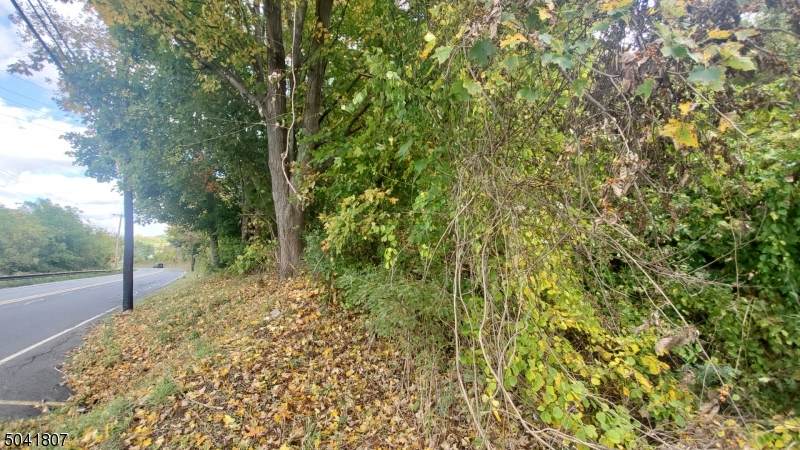 113 Munsonhurst Rd - Photo 1