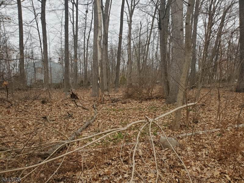 3 Wood Dale Ct - Photo 1