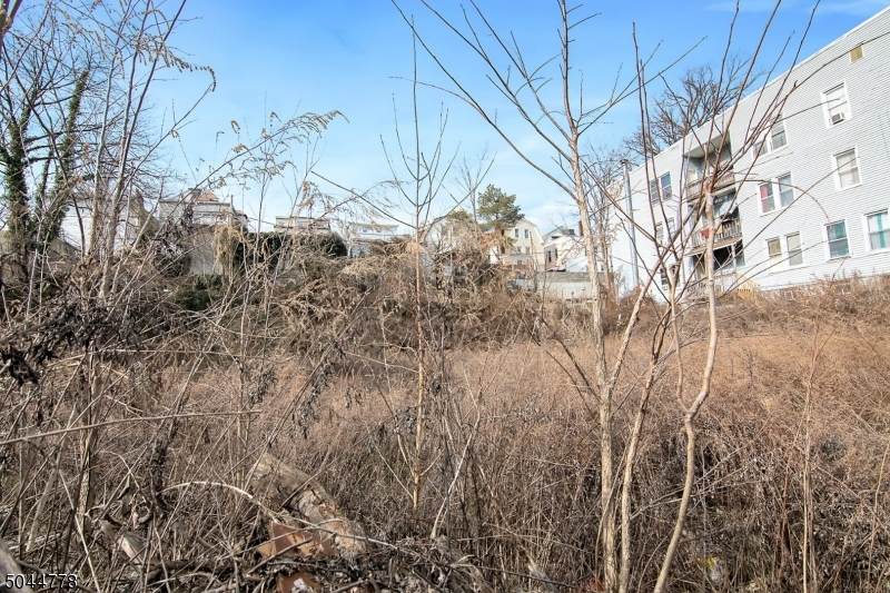 770 Mt Prospect Ave - Photo 1