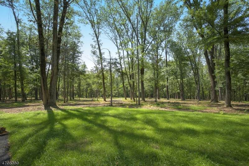 29 Twin Oaks Lane - Photo 1