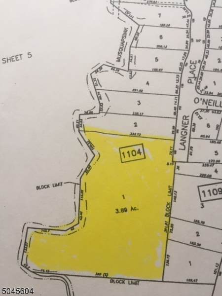 100 Langner Pl - Photo 1