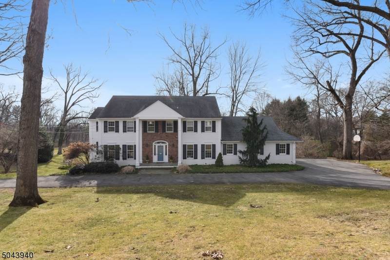 43 Midwood Ter - Photo 1