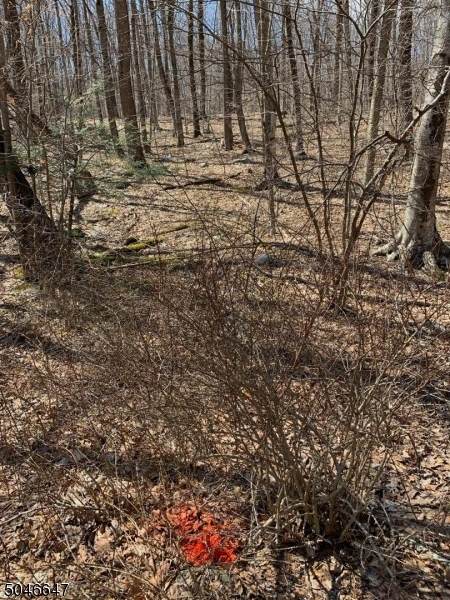 121 Mohican Rd - Photo 1