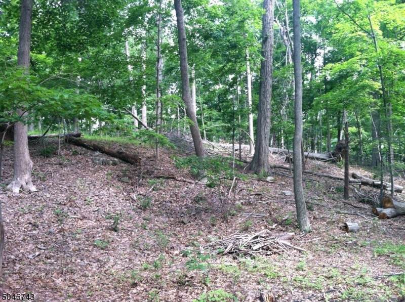 71 Long Rd - Photo 1
