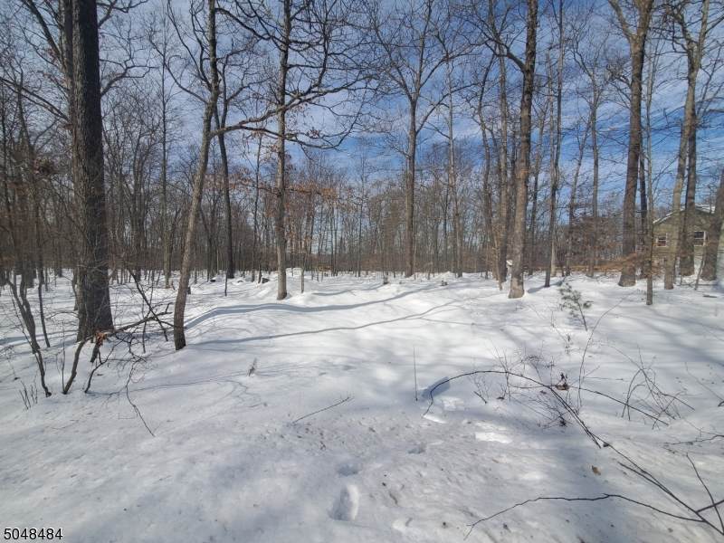 14 Fawn Run - Photo 1