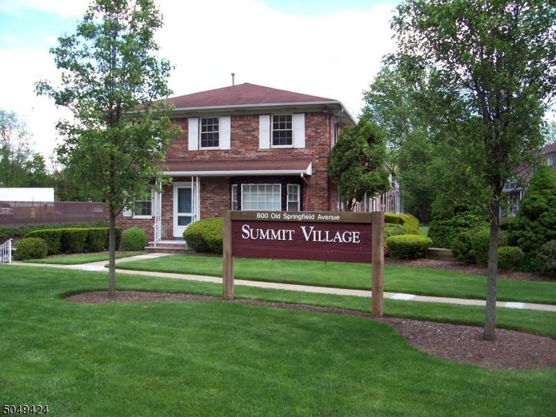 800 Old Springfield Ave - Photo 1