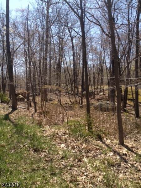 0 Tamarack Dr - Photo 1