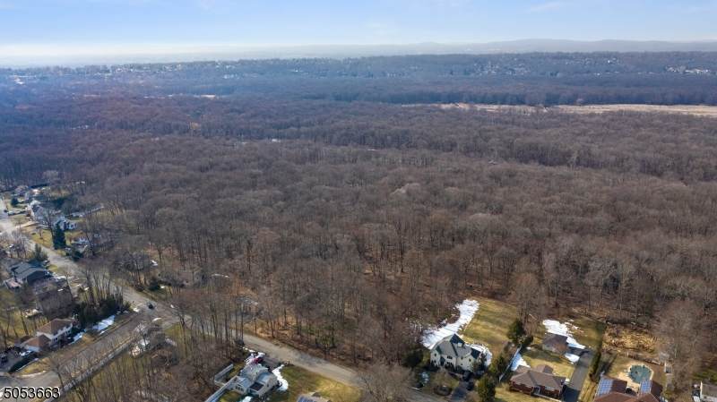 117 Big Piece Rd - Photo 1