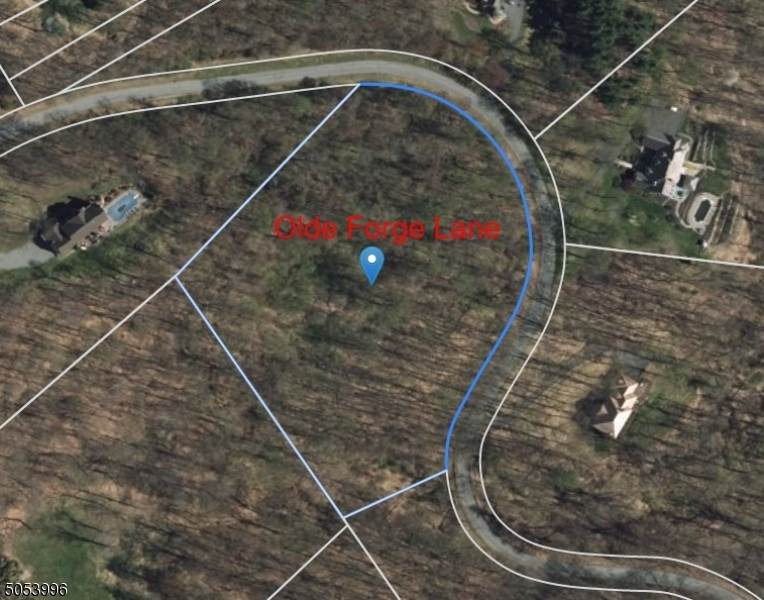 3 Olde Forge Lane - Photo 1