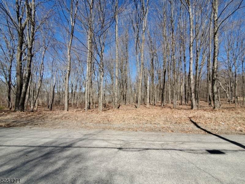 0 Meyers Rd - Photo 1
