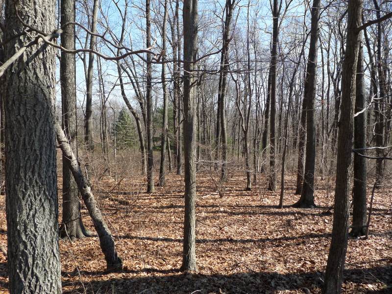28 Danville Mountain Rd - Photo 1