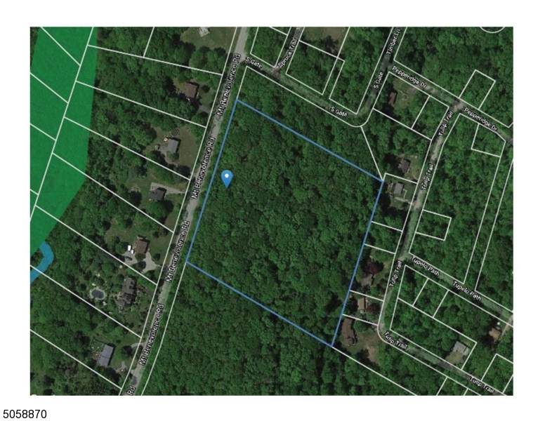 0 Mount Benevolence Rd - Photo 1