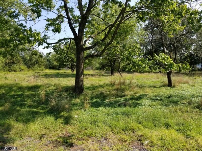472 Farm Rd - Photo 1