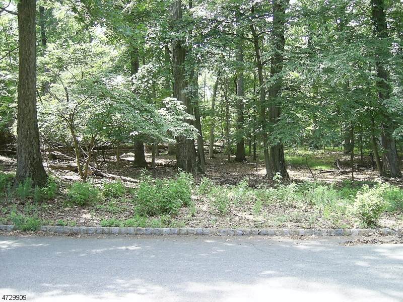 177 Deer Run - Photo 1