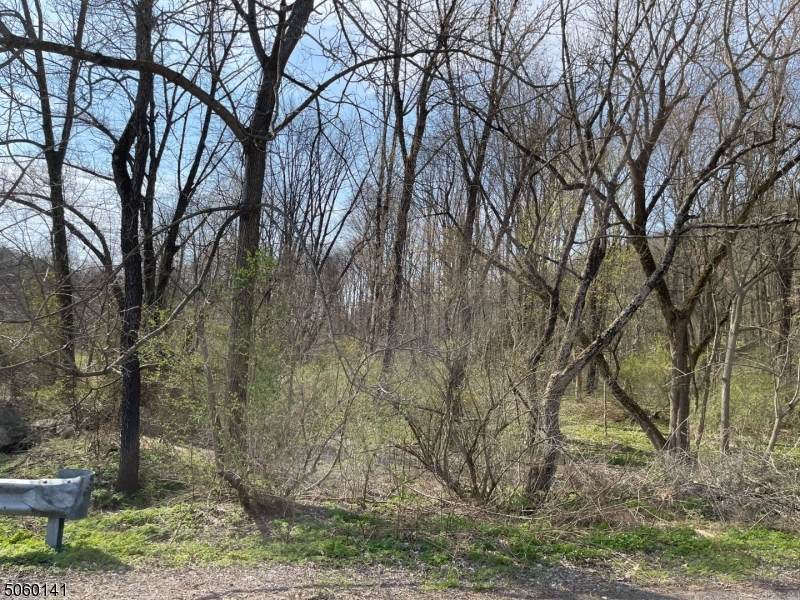 12 Orams Ln - Photo 1