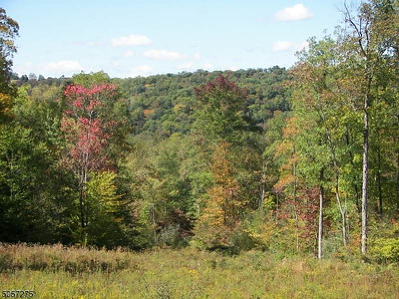 0 Fox Run - Photo 1