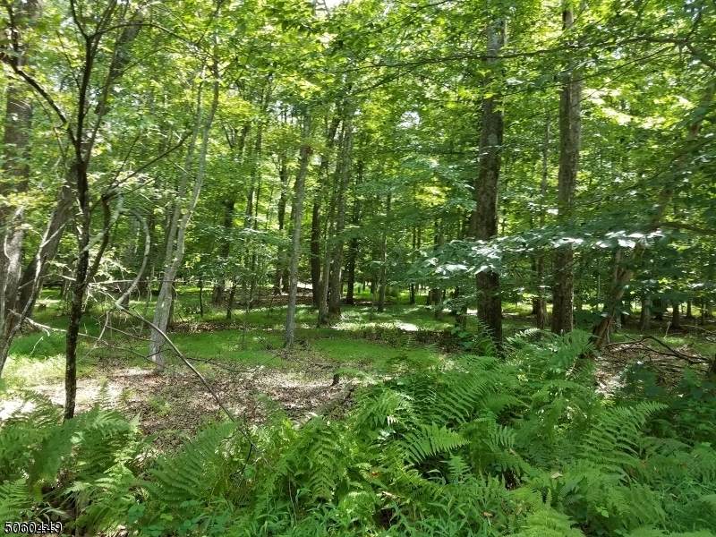 36 Meyers Rd - Photo 1