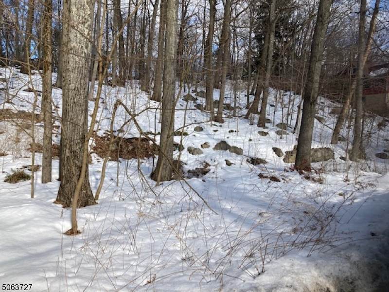 49 Onteora Rd - Photo 1