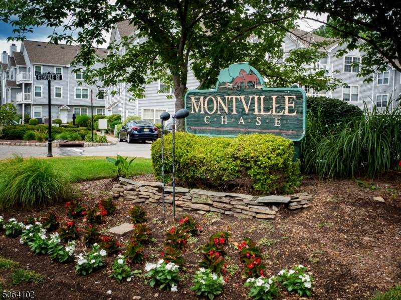 28 Genoble Rd - Photo 1