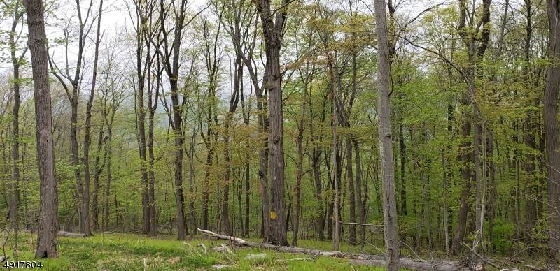 408 Mountain Lake Rd - Photo 1