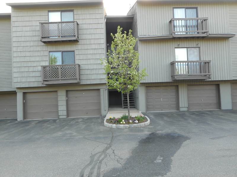 1711 Spruce Hills Dr - Photo 1