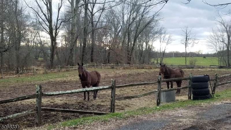619 County Road 513 - Photo 1