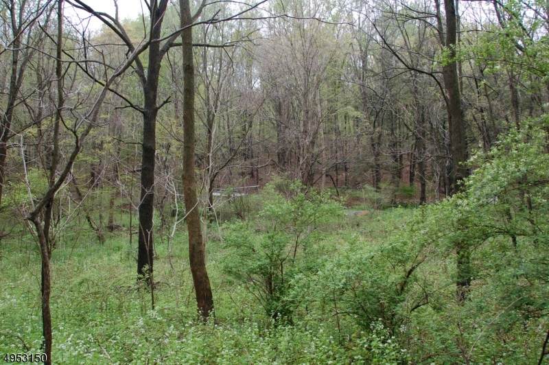 14 Route 46 - Photo 1
