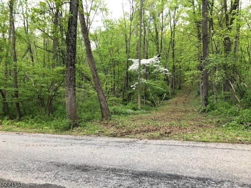 0 Mount Holly Rd - Photo 1