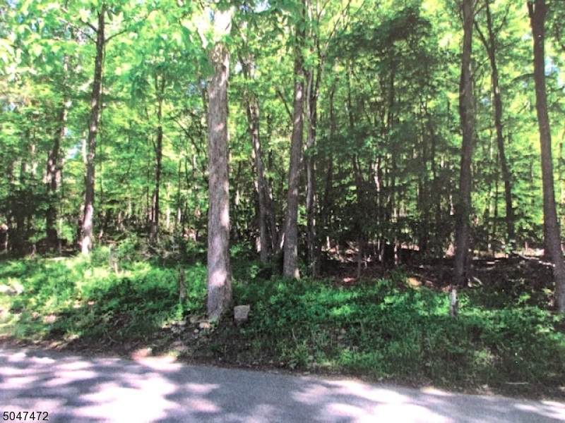 225 Mountainside Rd - Photo 1