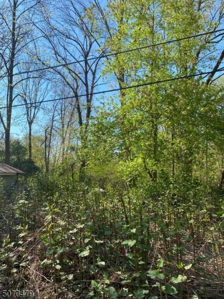 29 Arlington Ave - Photo 1