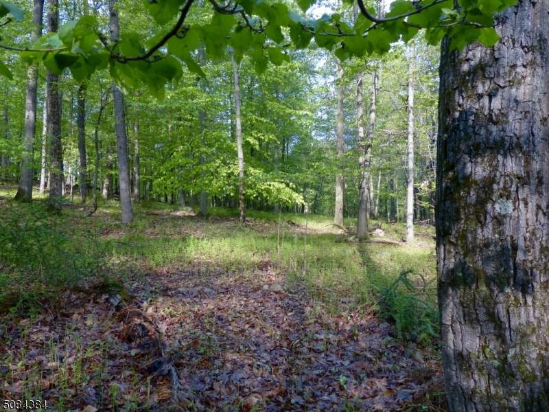 8 Preserve Ln - Photo 1