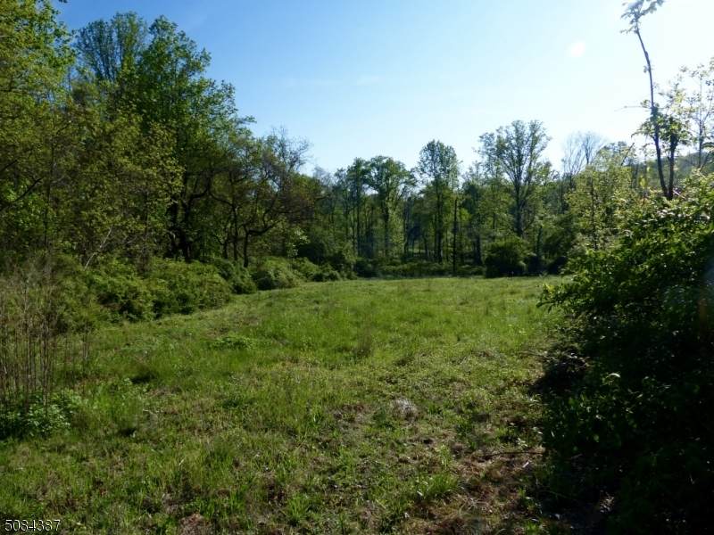 1 Preserve Ln - Photo 1