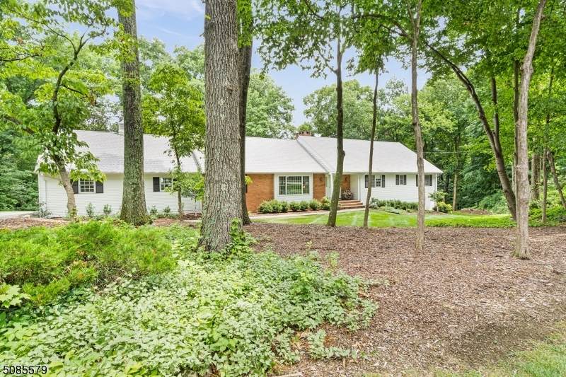 6 Standish Dr - Photo 1