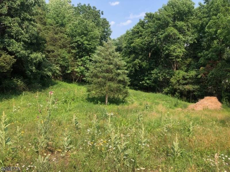 36 Jones Lane - Photo 1